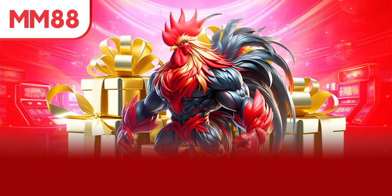 Thời gian thi đấu và quy định tham gia link trực tiếp đá gà Thomo