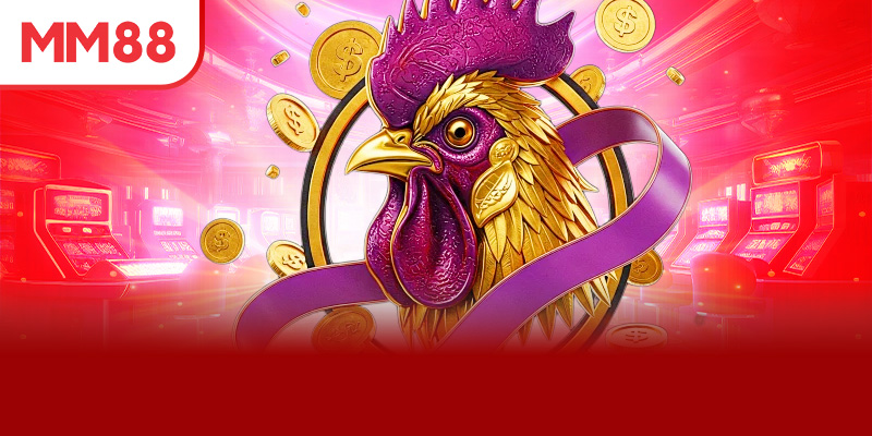 Chinh phục đá gà cựa sắt từ kinh nghiệm thực chiến