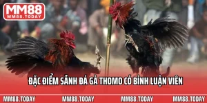 dac-diem-sanh-da-ga-thomo-co-binh-luan-vien-1